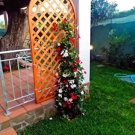 Bed & Breakfast Fiorita Marina di Camerota