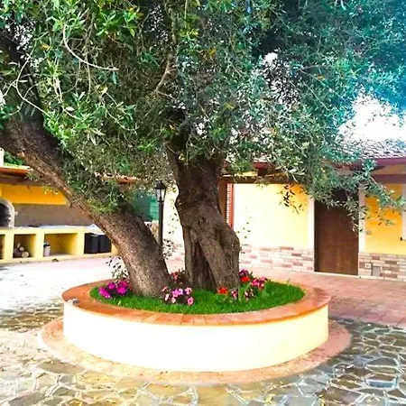 Fiorita Bed & Breakfast Marina di Camerota