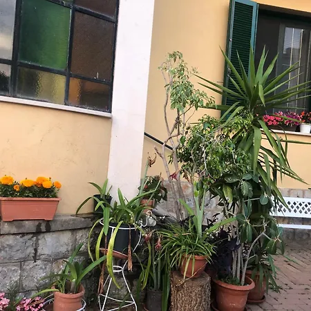 Fiorita Marina di Camerota